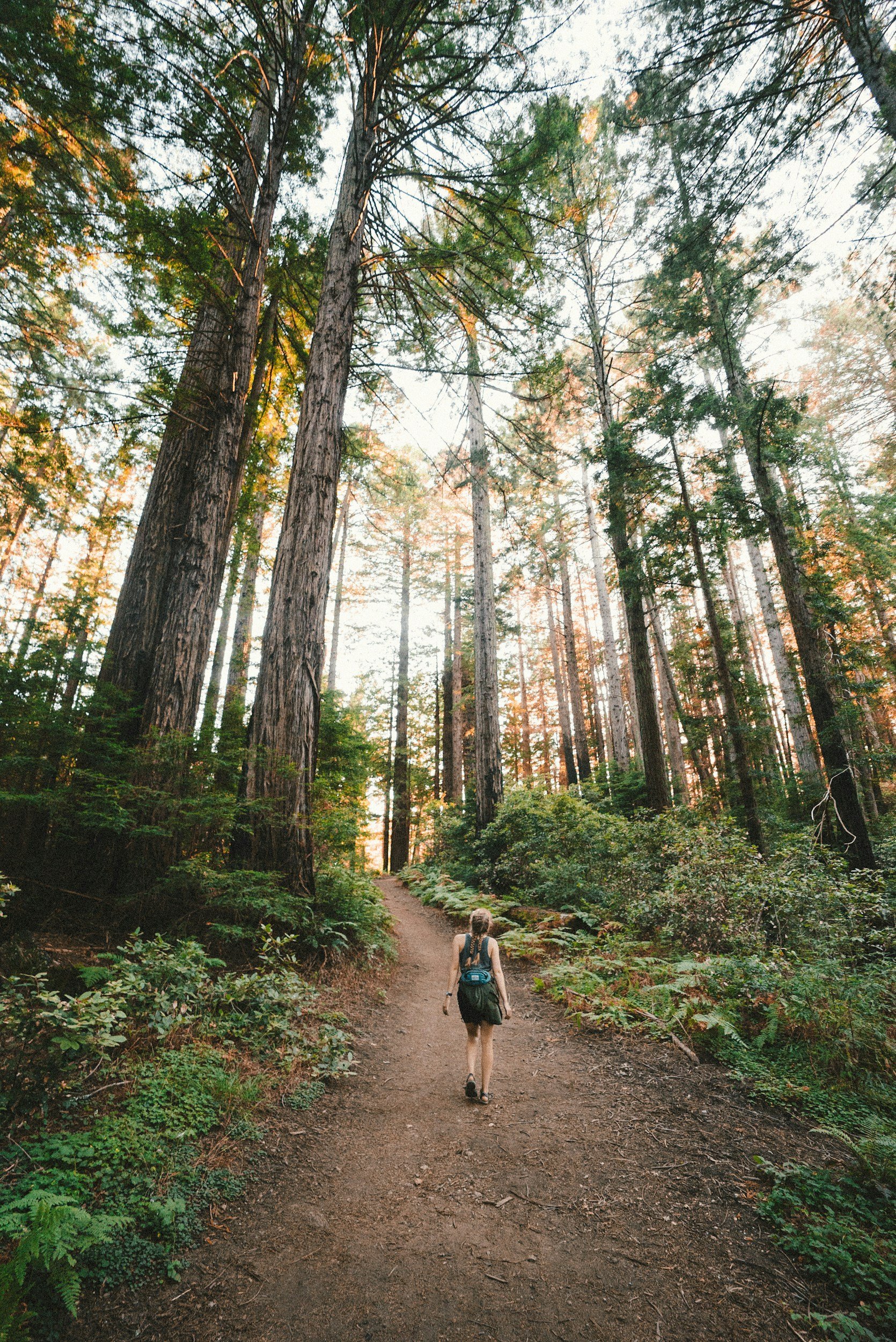 Go Outside, Touch Grass: Why June Is the Perfect Month for  Digital Detox Moments