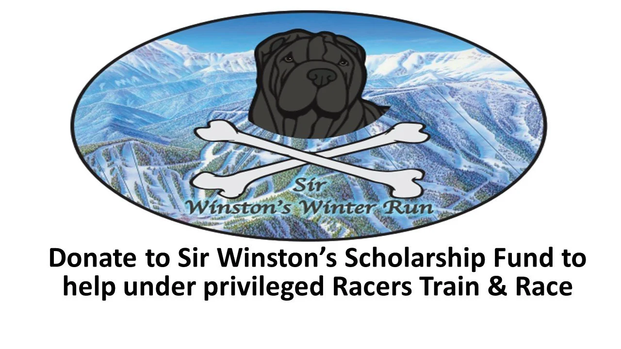 Sir-Winston-Donation-Button.jpg
