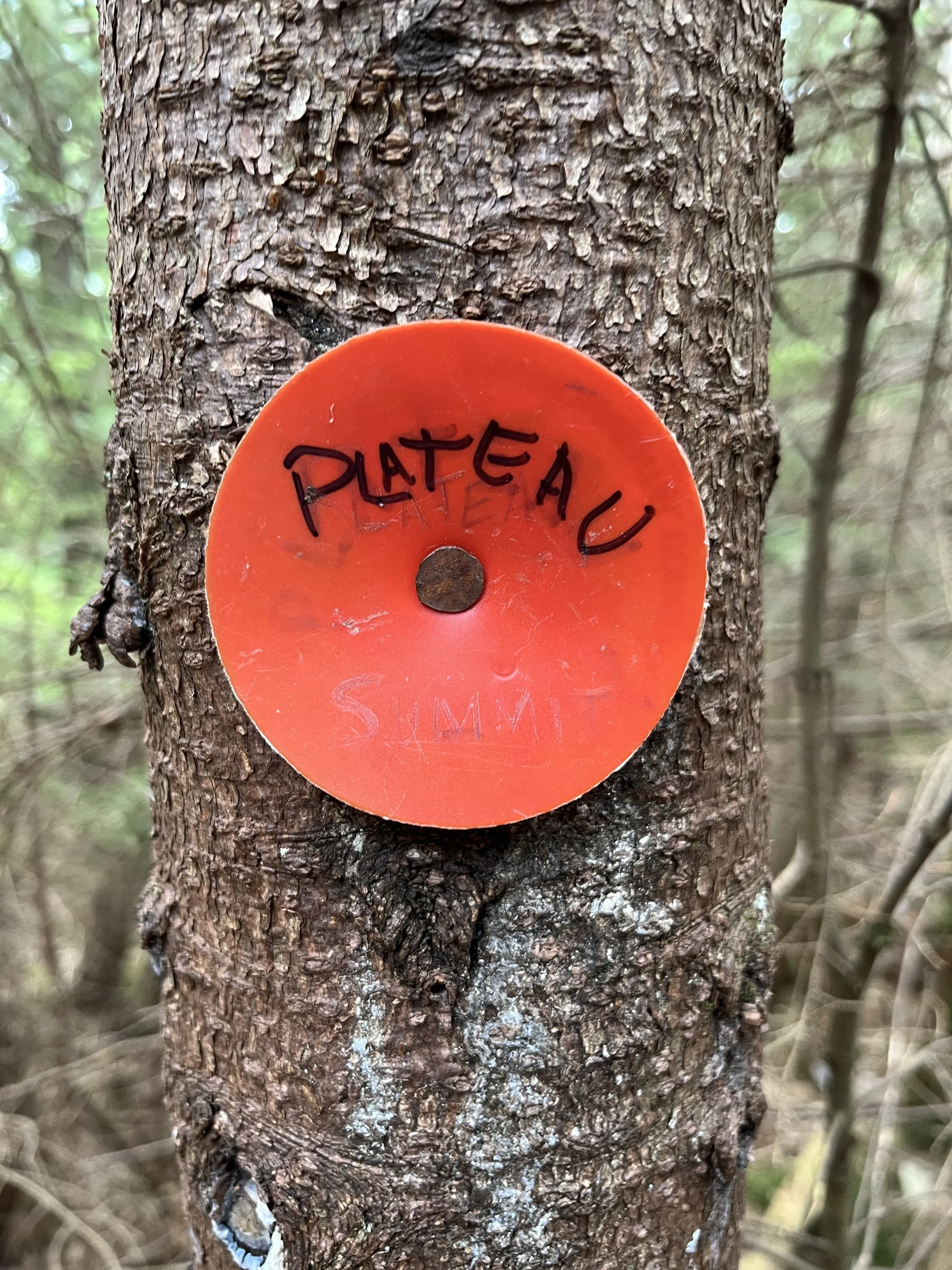 Plateau Mountain - High Peak #1
