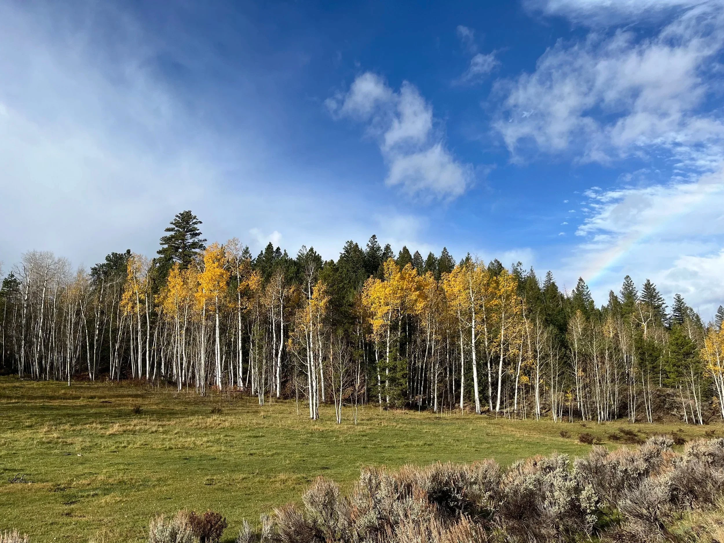 Processing Collapse Outpost: Uinta Mountains, Utah
