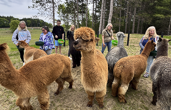 Why We Chose the Ranch Life (and Why You Might Need to Visit)