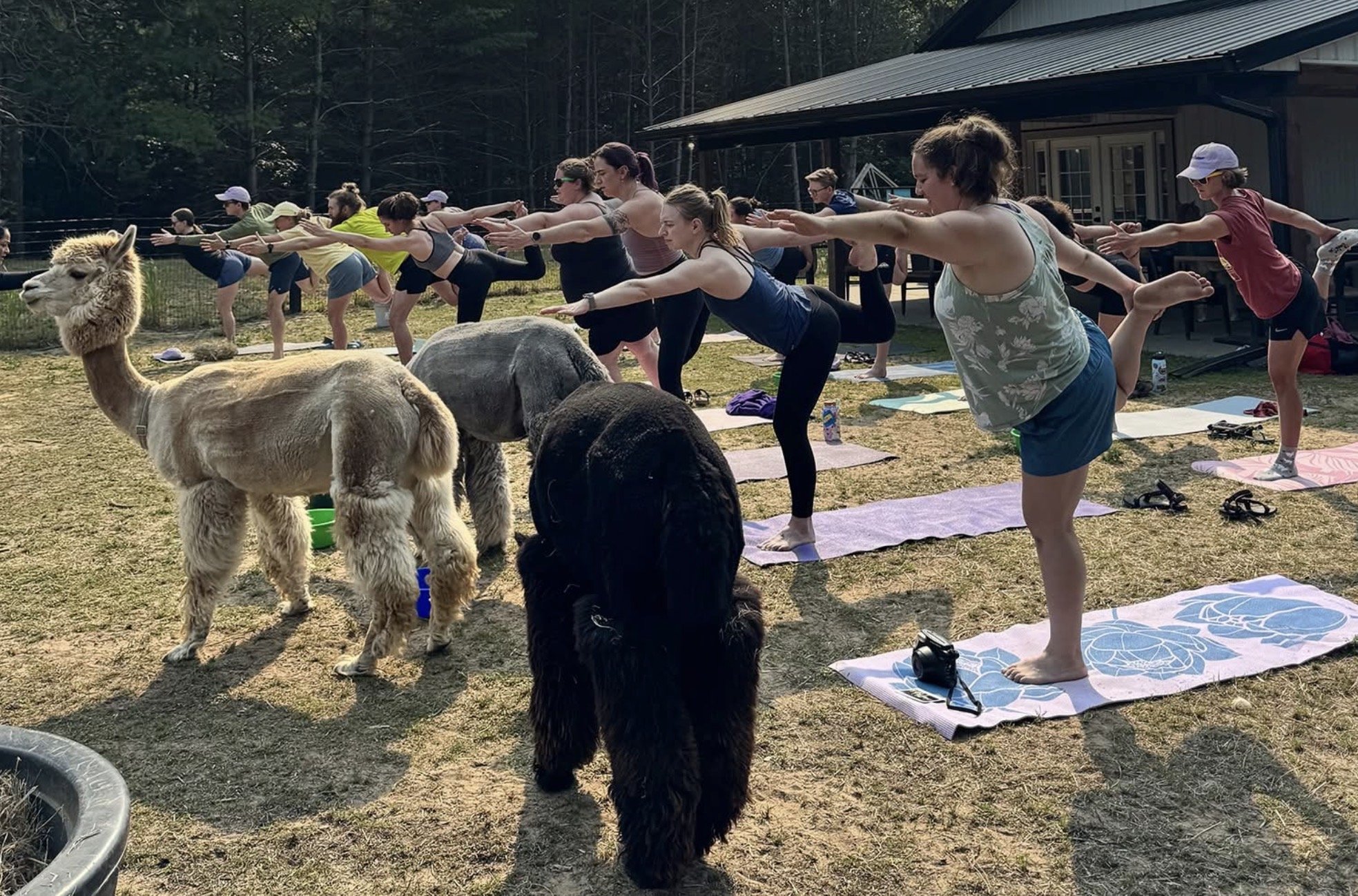 Sunday Wellness at CASACAMPO