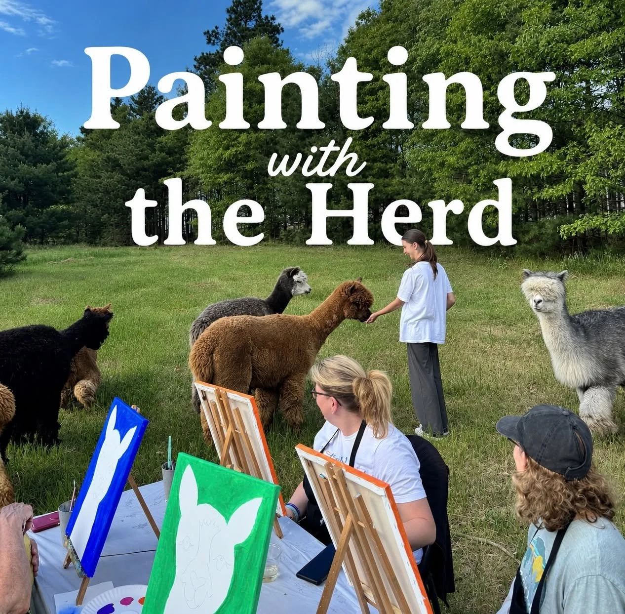 Painting with the Herd