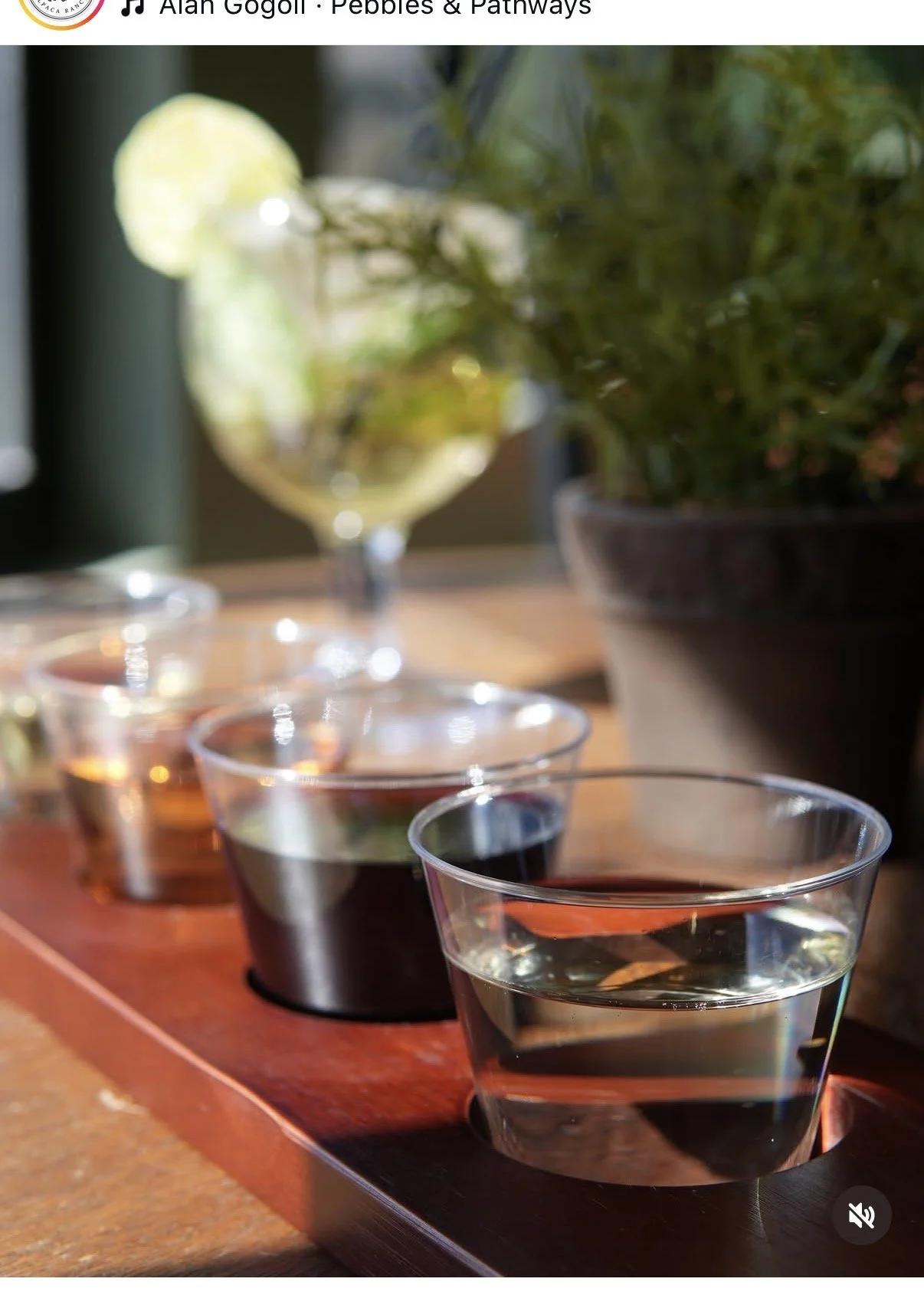 A person holding a creamy white cocktail garnished with an orange slice and a cherry, inside a rustic wooden restaurant or cafe with brick walls and wooden ceiling beams.