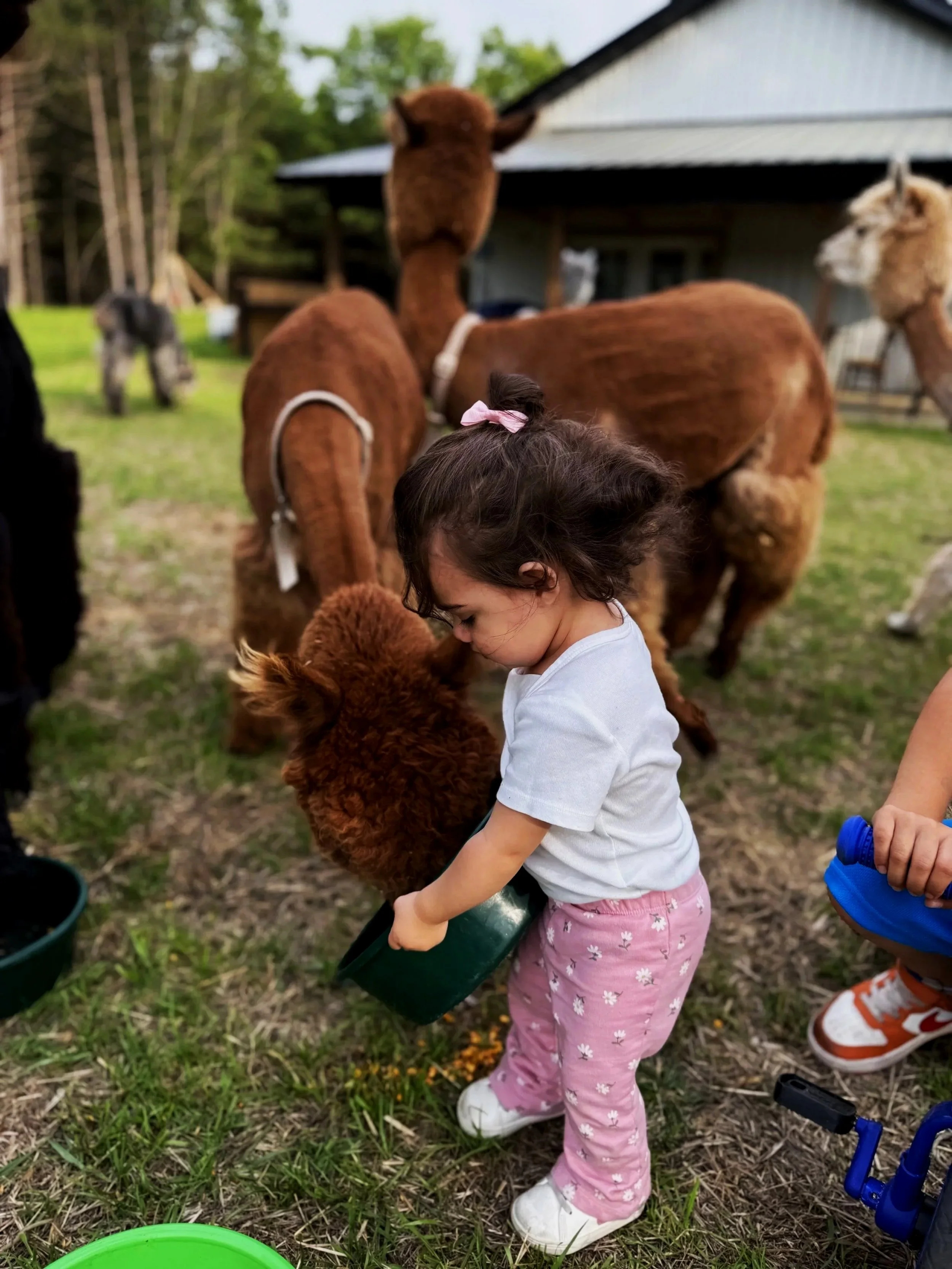 EXPERIENCES | Discover our ranch park and garden our ranch | Reserve ...