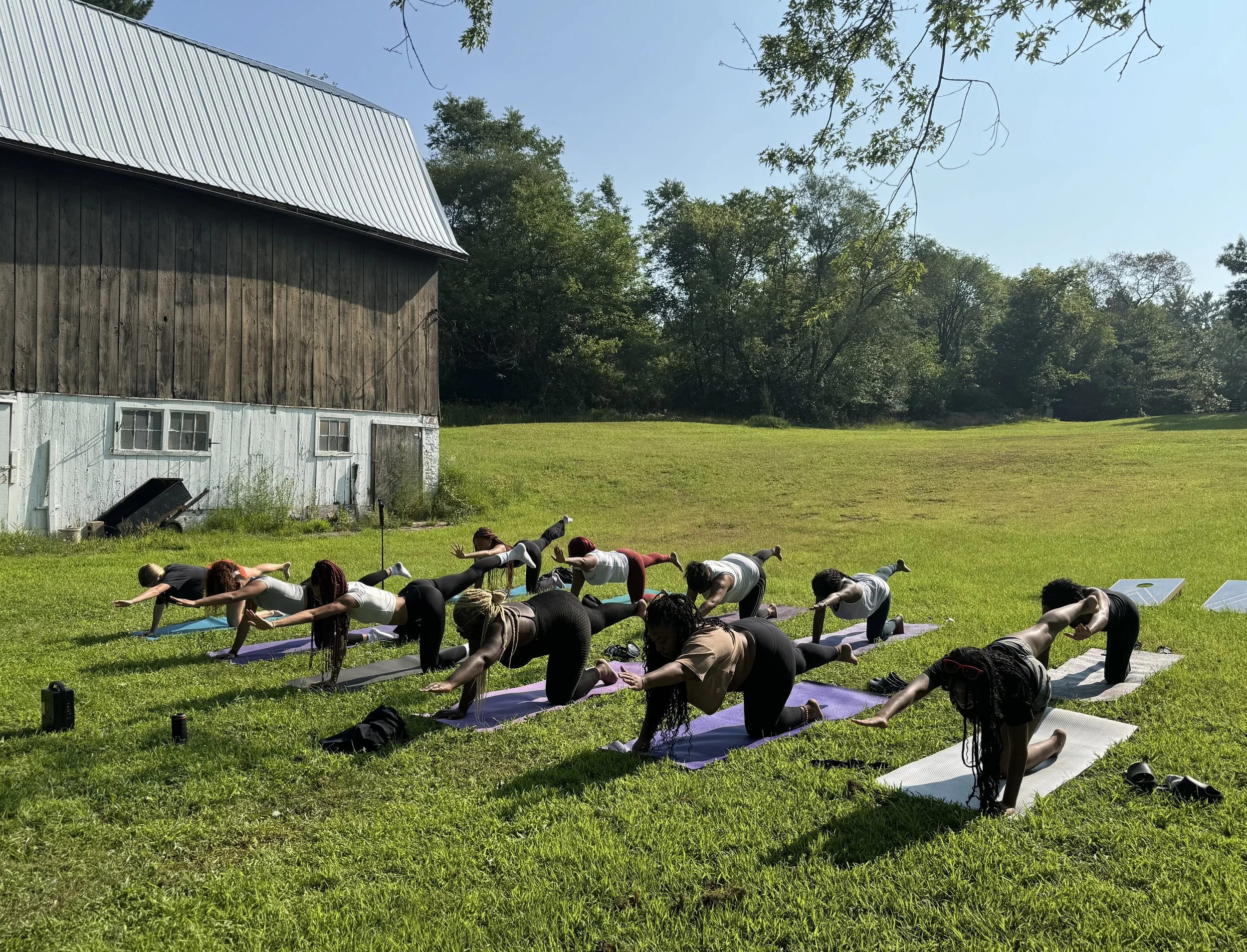 MORNING MOVEMENT at CASACAMPO 