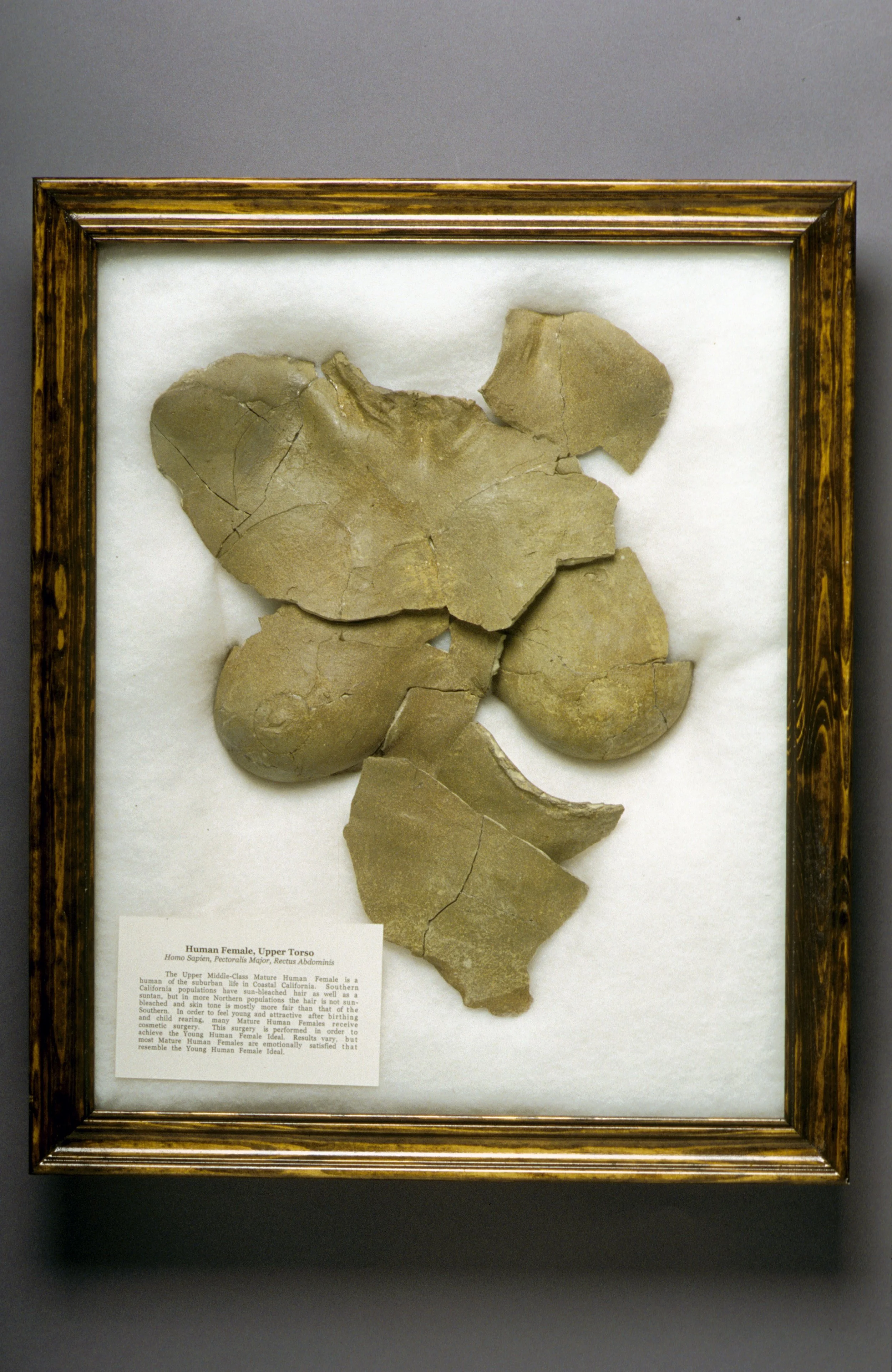 20TH CENTURY LUCY, UPPER TORSO_Page_4_007.jpg