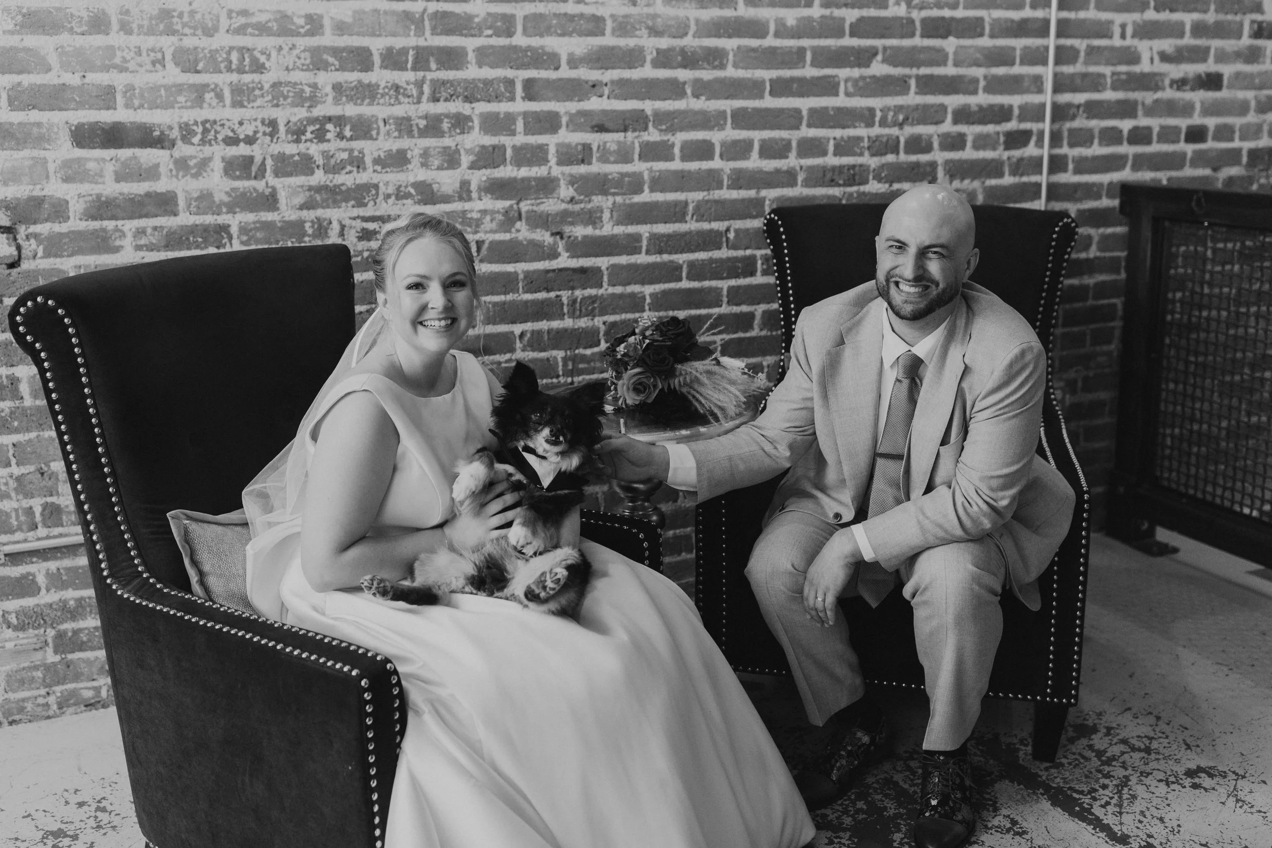 Bride and Groom seated with a dog at the St. Vrain