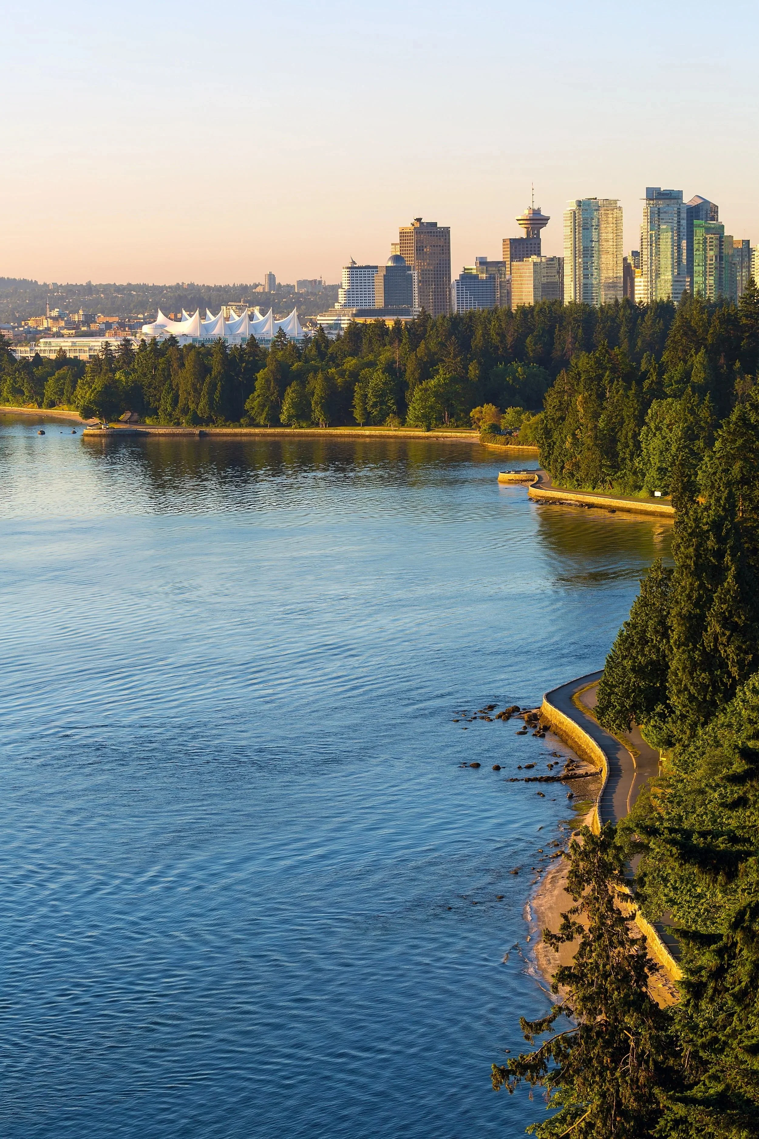 A city skyline with tall buildings and a distinctive tower, viewed over a large river with a tree-lined shoreline and a walking path.