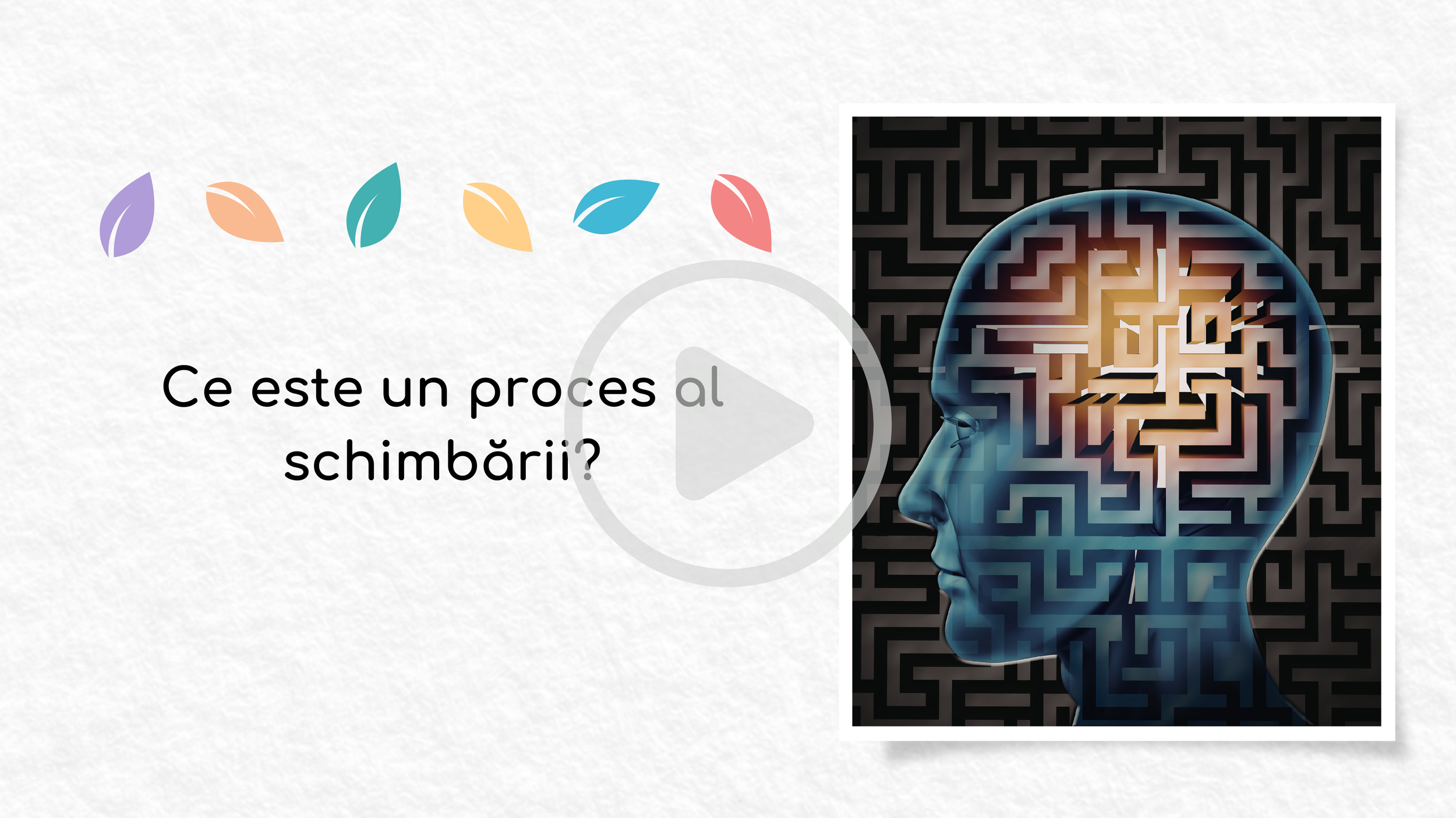 proces al schimbarii.png