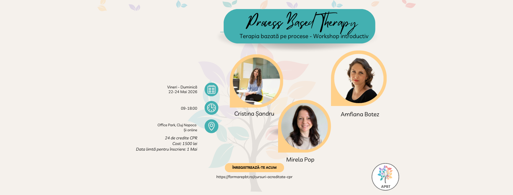 Workshop introductiv - Terapia bazata pe procese 