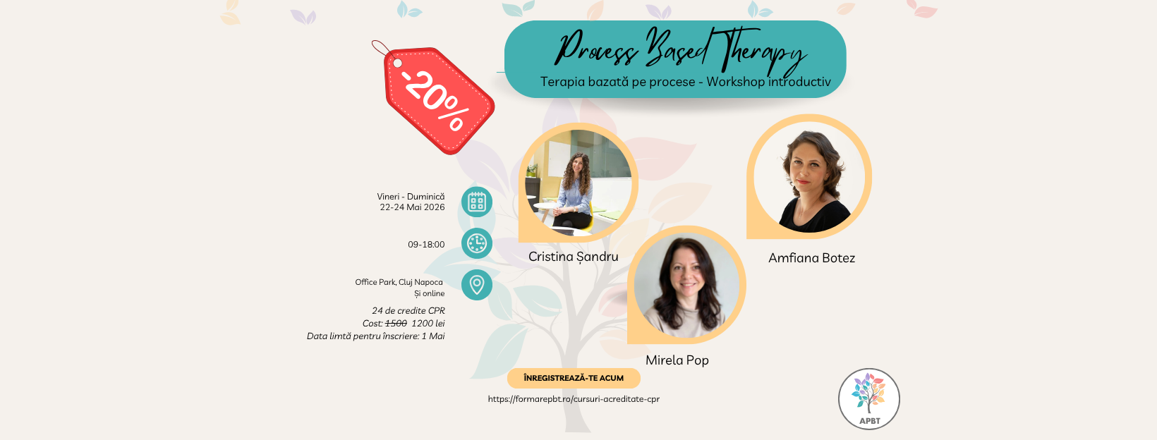 Workshop introductiv - Terapia bazata pe procese 