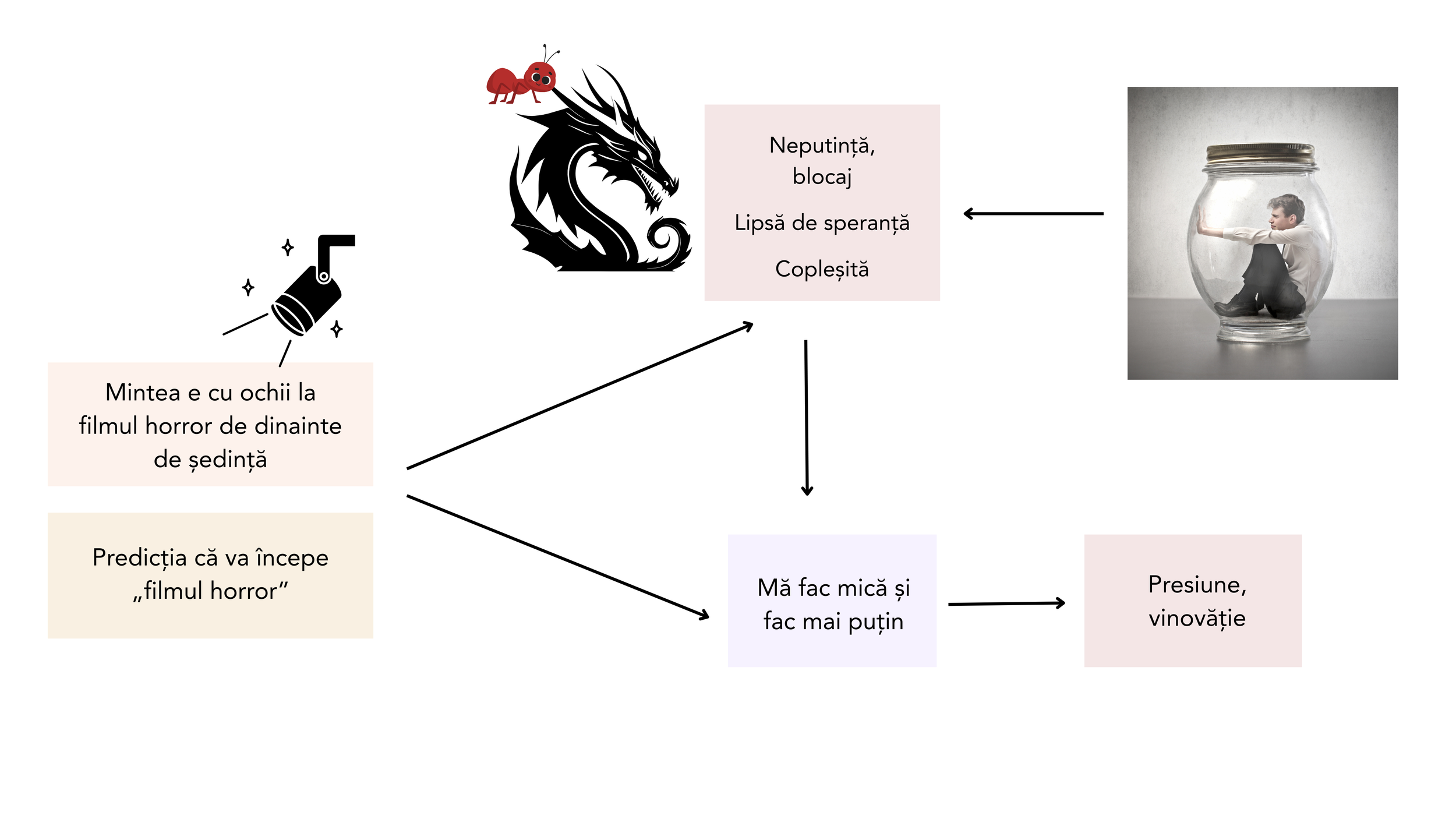 studiu de caz.png