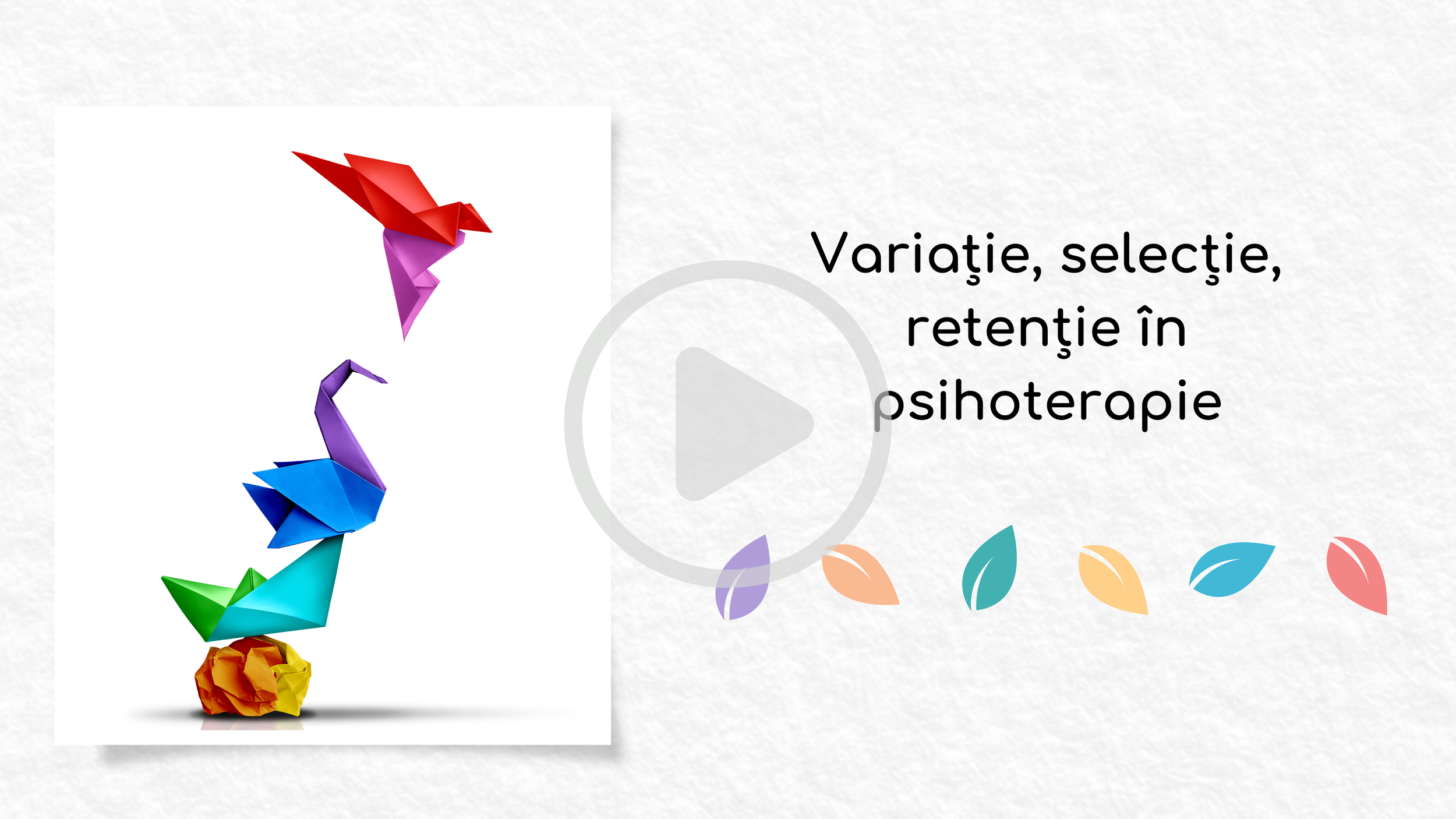 variatie selectie.png
