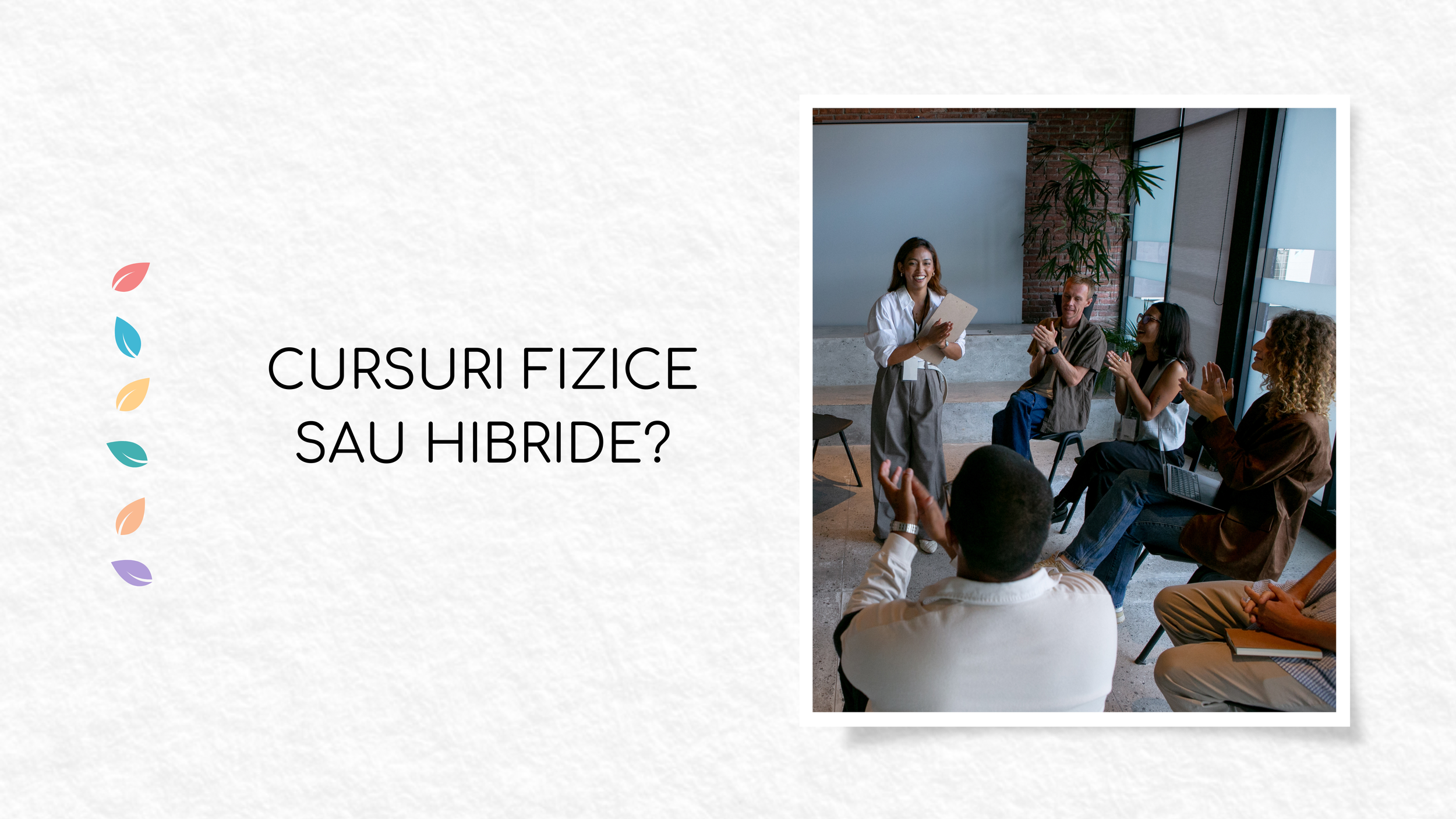 CURSURI FIZICE.png