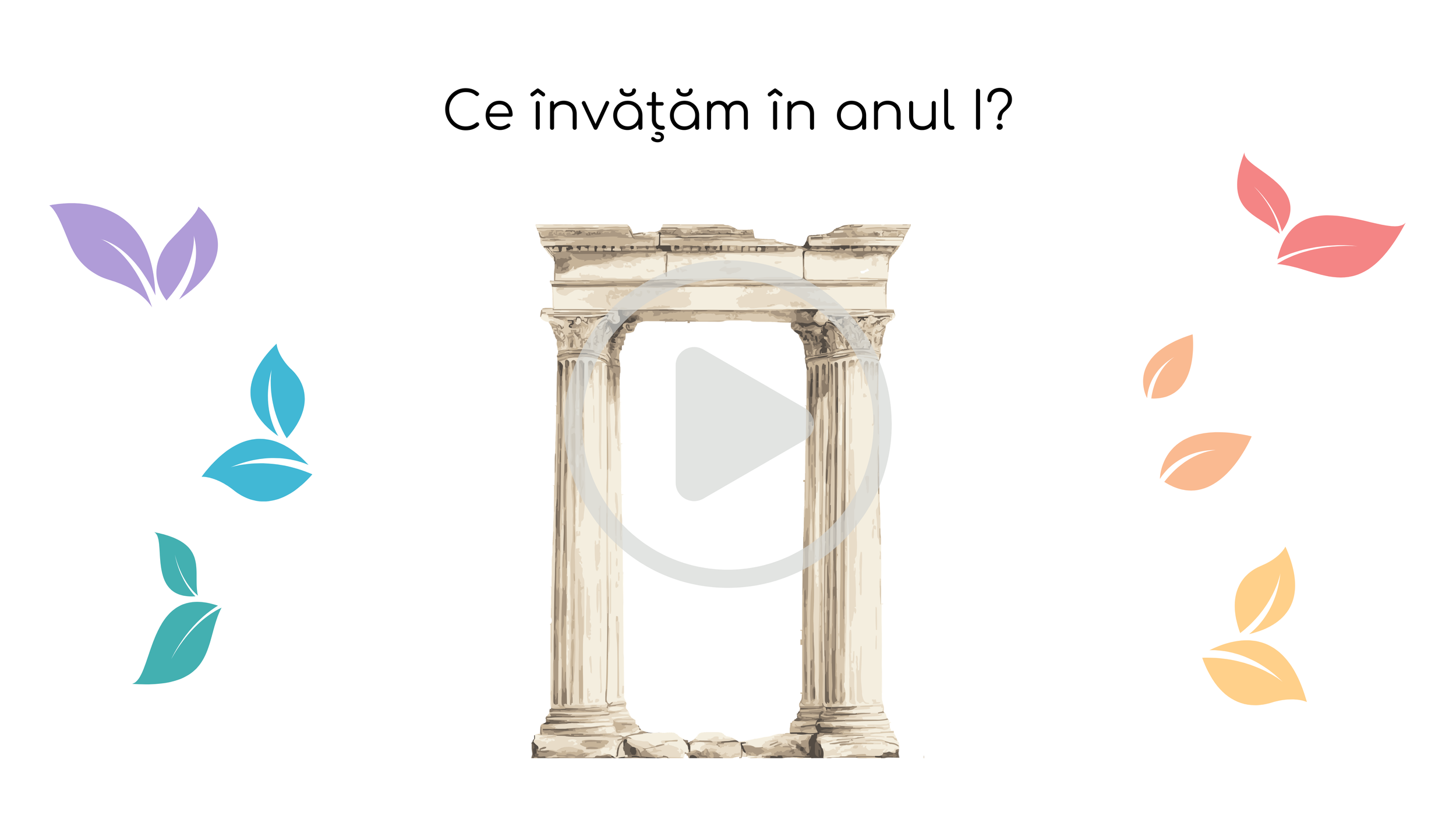 anul 2.png