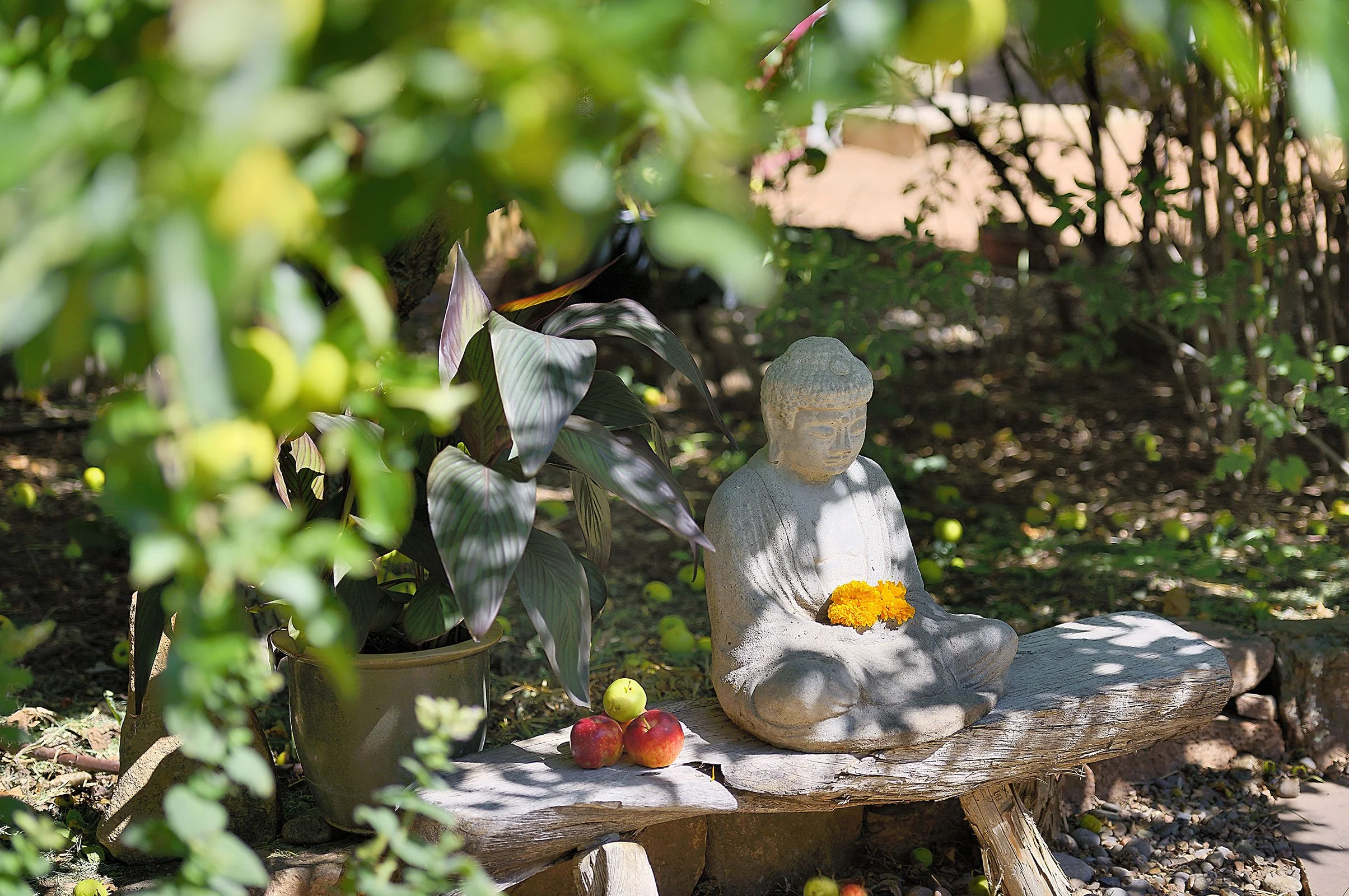 upper main house 8362_.jpg