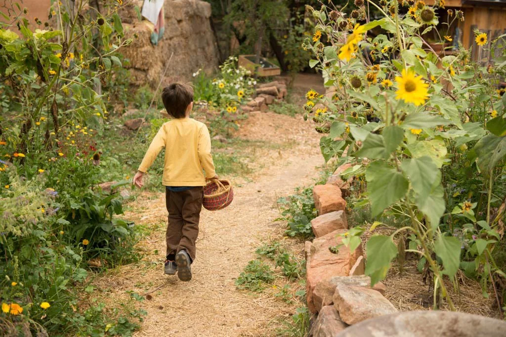 Garden16.jpg