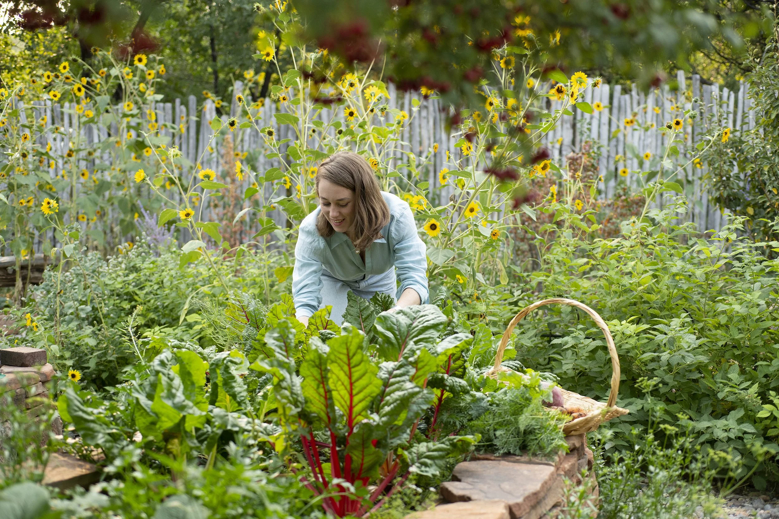 GardenCompoundGarden©Merriam076 (1).jpg