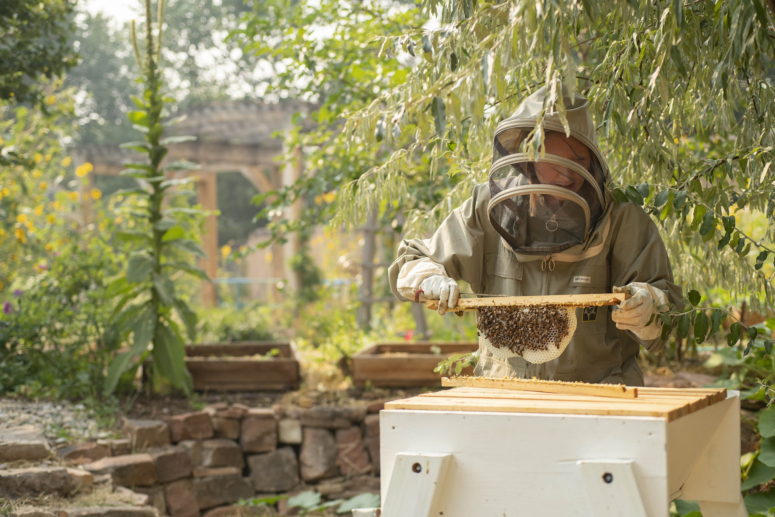 GardenCompoundBeekeeper©Merriam006.jpg