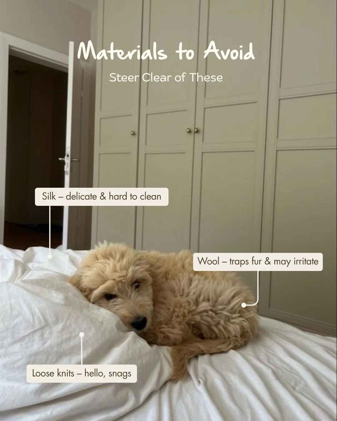 Prod Ed- Pets (5).jpg