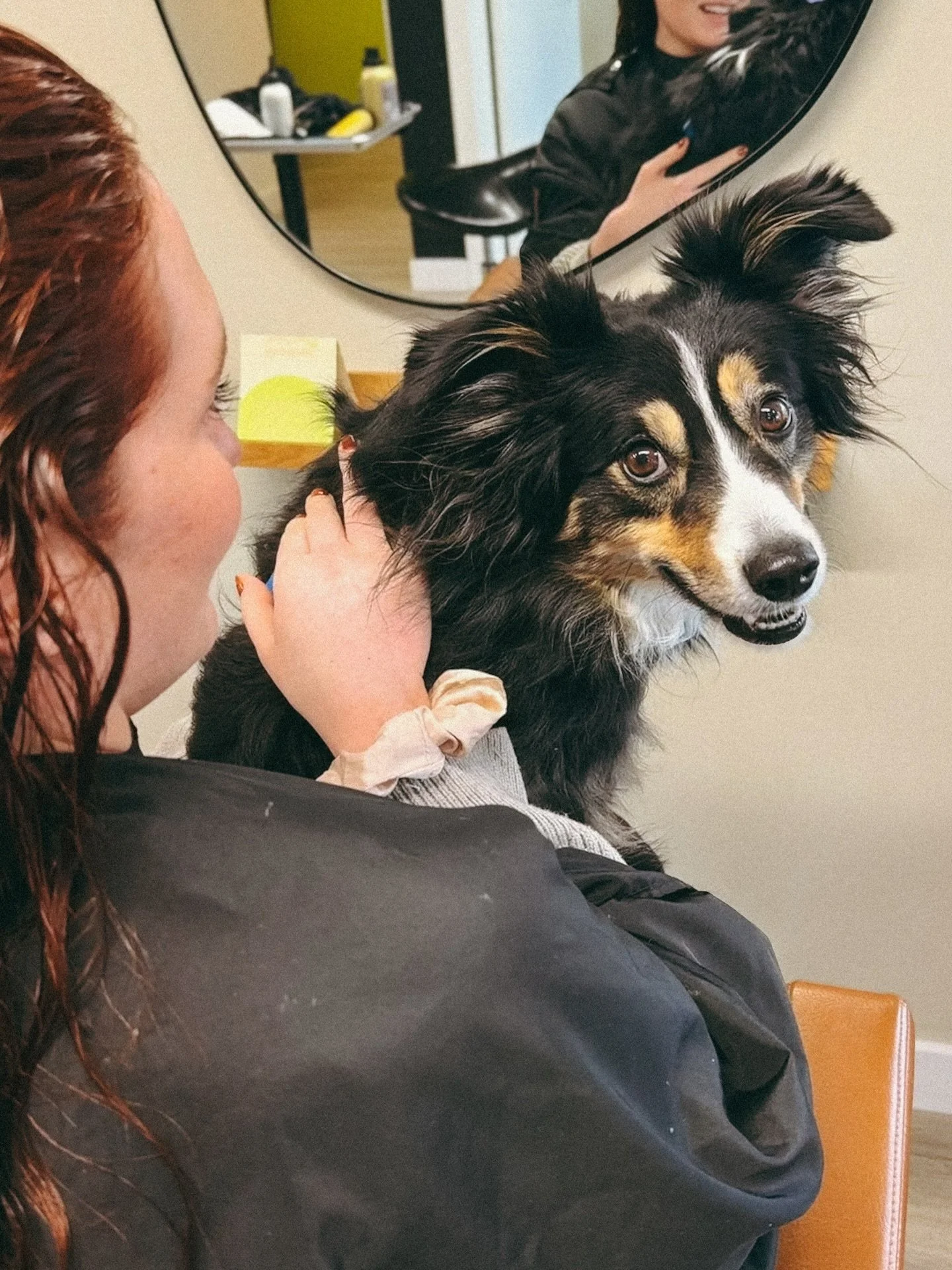 One root touch up with a side of puppy cuddles please ☝🏻 👩🏼&zwj;🦰