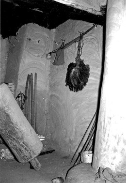 Olisiloku feathered fan-et-al