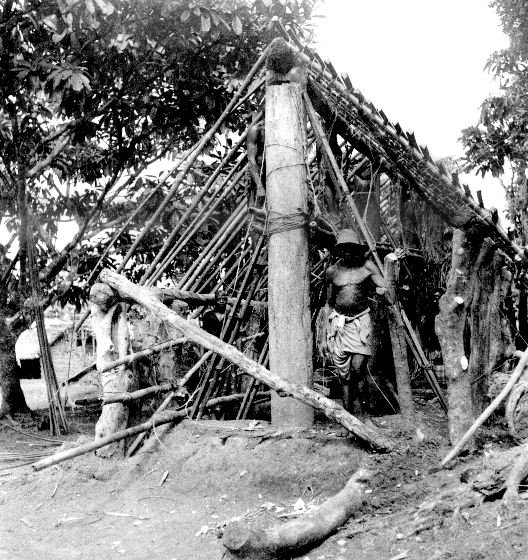 House under construction (southern Igbo). 📸: G. I. Jones.