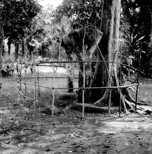 Alusi Nri-Awka. 📸: G. I. Jones.