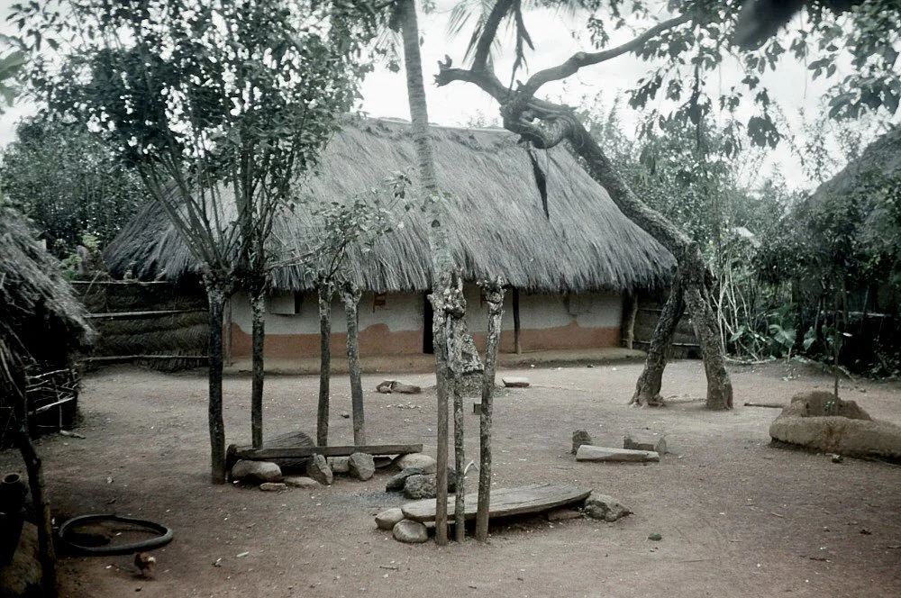 Interior of a compound in Afikpo Village-Group, now Ebonyi State. 📸: Simon Ottenberg, 1959-60. Smithsonian.