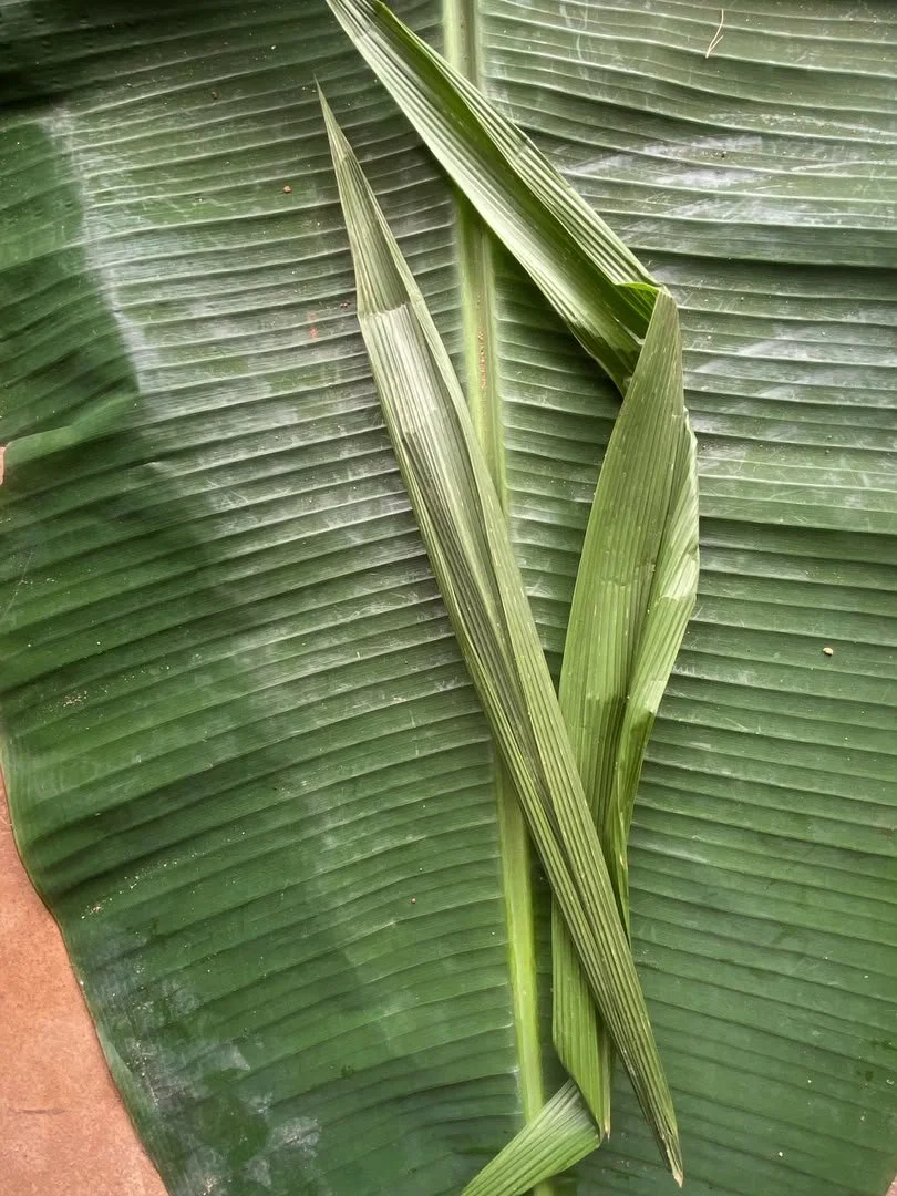 Akwukwo Ahiara
