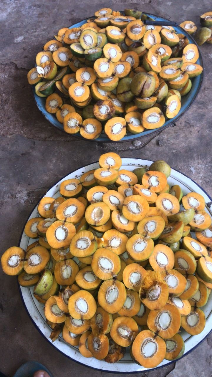 Ugiri being processed.