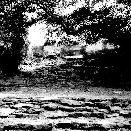 Ngusu Ada. 📸: G. I. Jones.