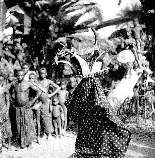 “Jack”. 📸: G. I. Jones.