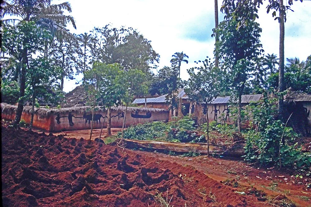 Nnobi compound garden 📸: Richard & Helen Henderson