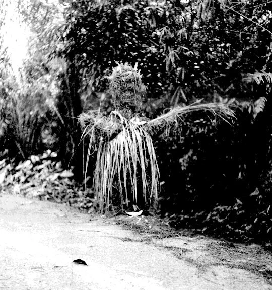 Juju to protect crops Orlu. 📸: G. I. Jones.