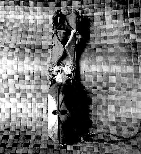 Ngusu Ada Mask. 📸: G. I. Jones.