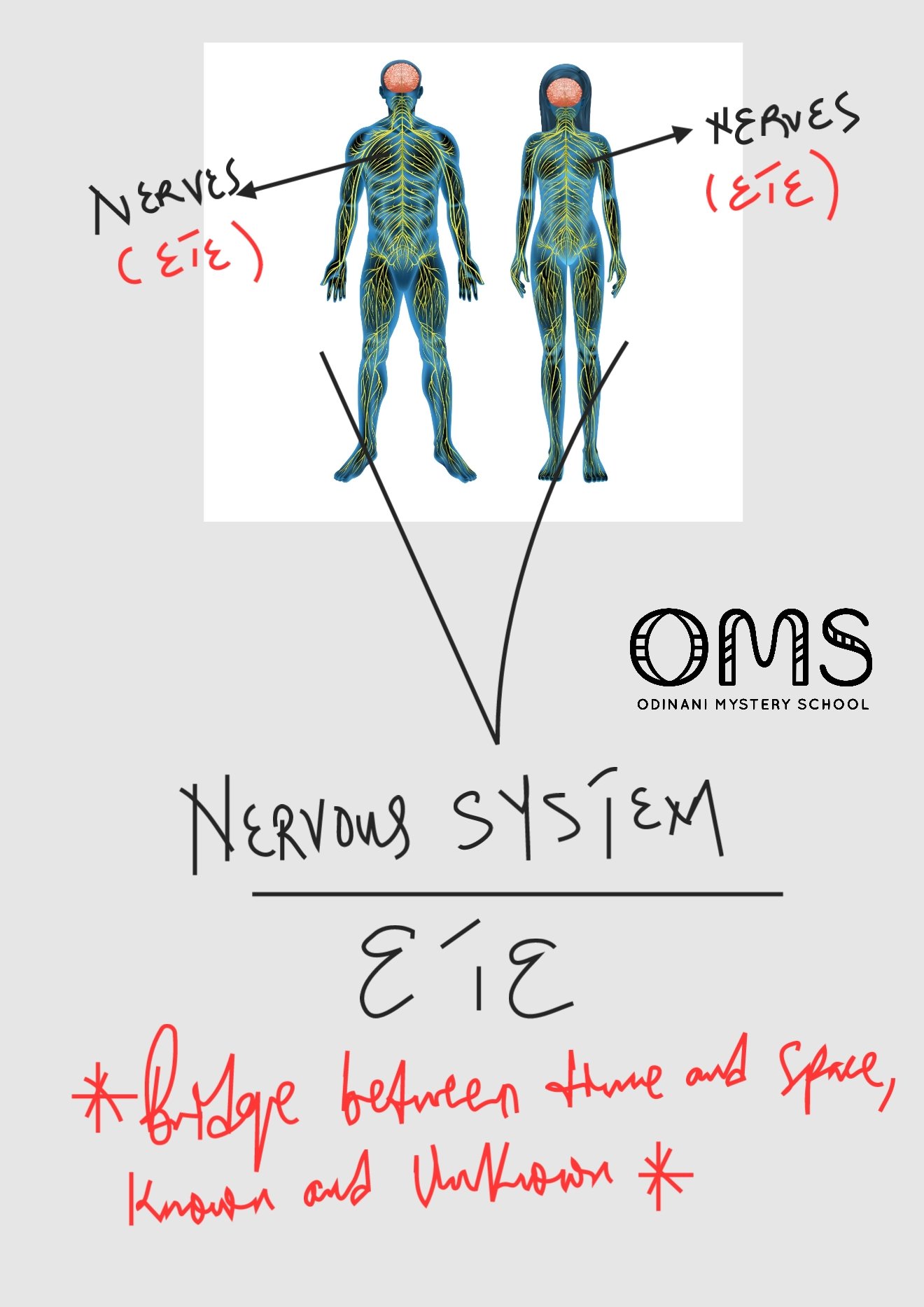 Ete as a bridge across time and space.