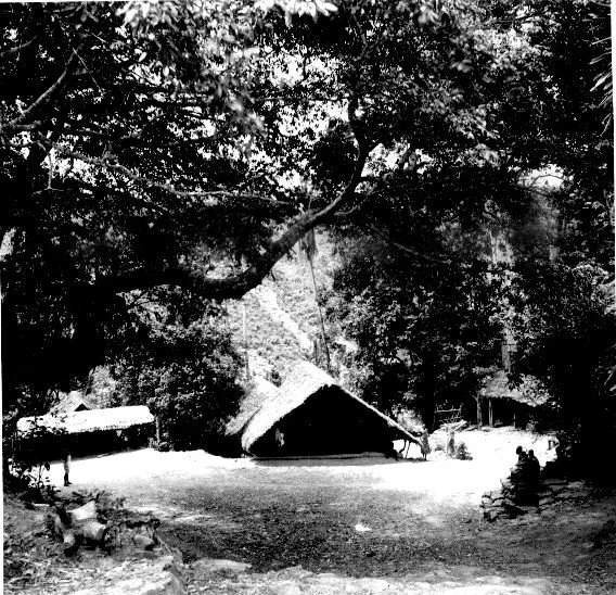 Ngusu Ada. 📸: G. I. Jones.