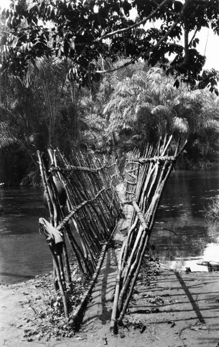 A bridge somewhere in the Igbo country, 📸: Gustaf Bolinder, 1930-31.