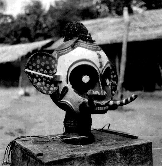 Ekpe (Igbo) head representing an elephant (Ndokki). 📸: G. I. Jones.