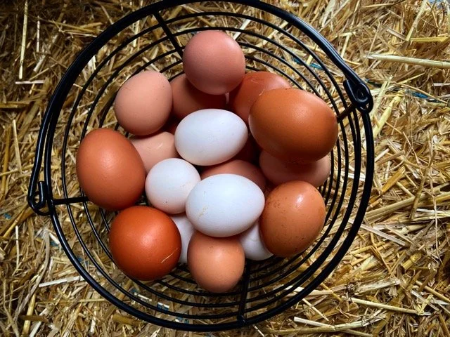 Basket of farm fresh eggs in a range of colors and sizes resting on a bed of hay