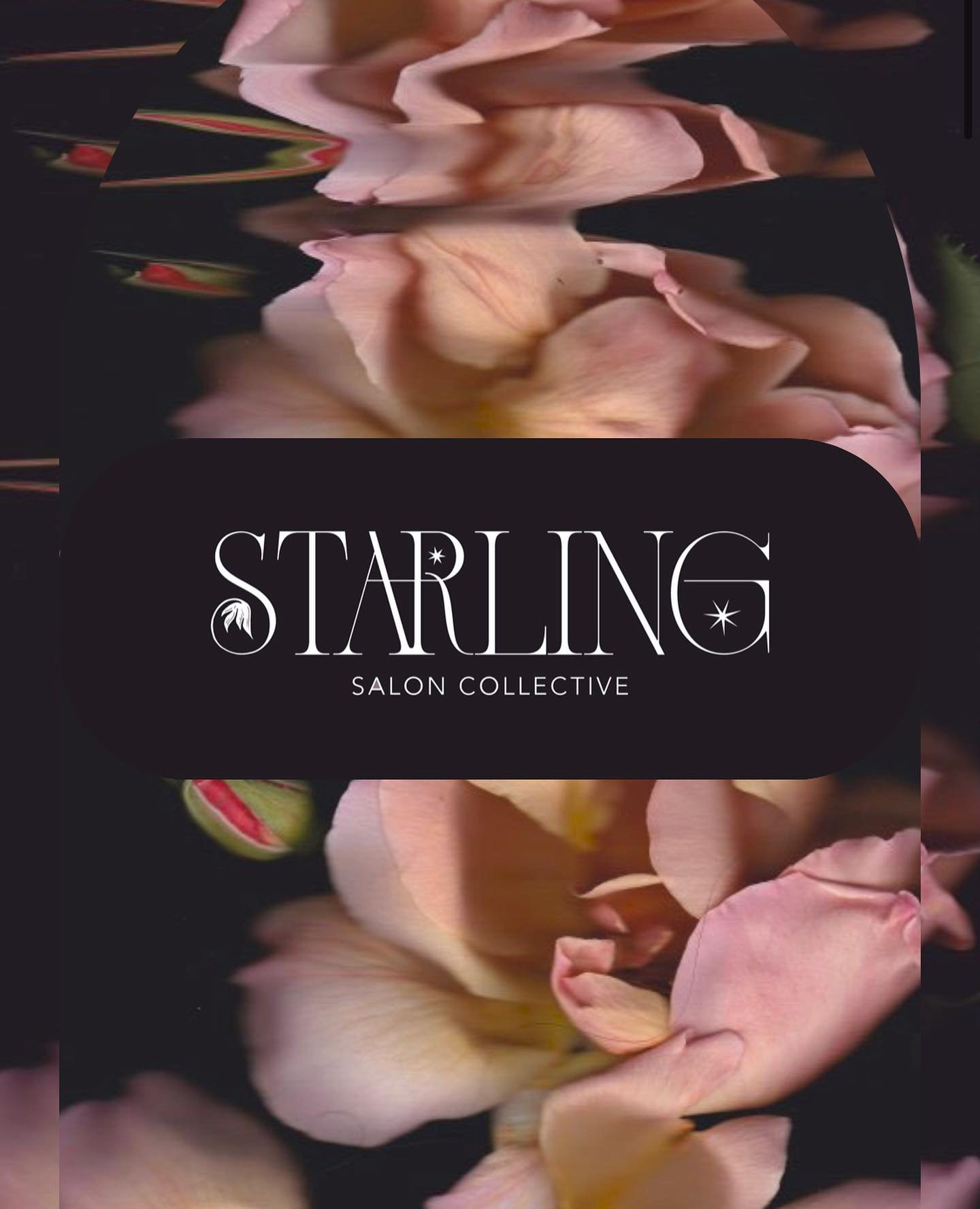 Announcing a new era! Starting 9/5 I will be working at the brand new Starling Salon Collective. This has been a dream and labor of love for so many years, and I am so excited to share this new space with you all! Starling Salon is located at 131 15t