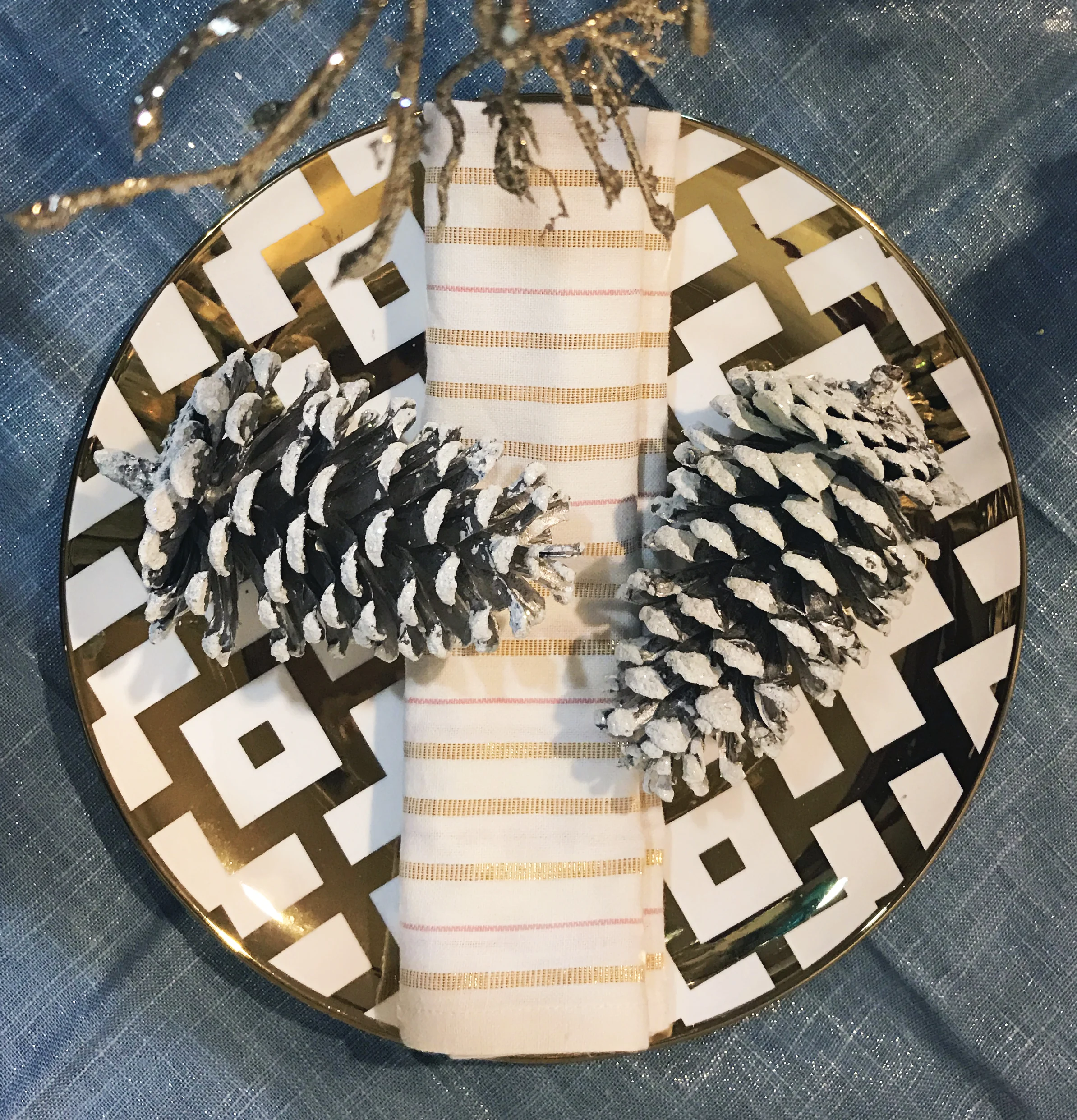 Dinner plate close up.jpg