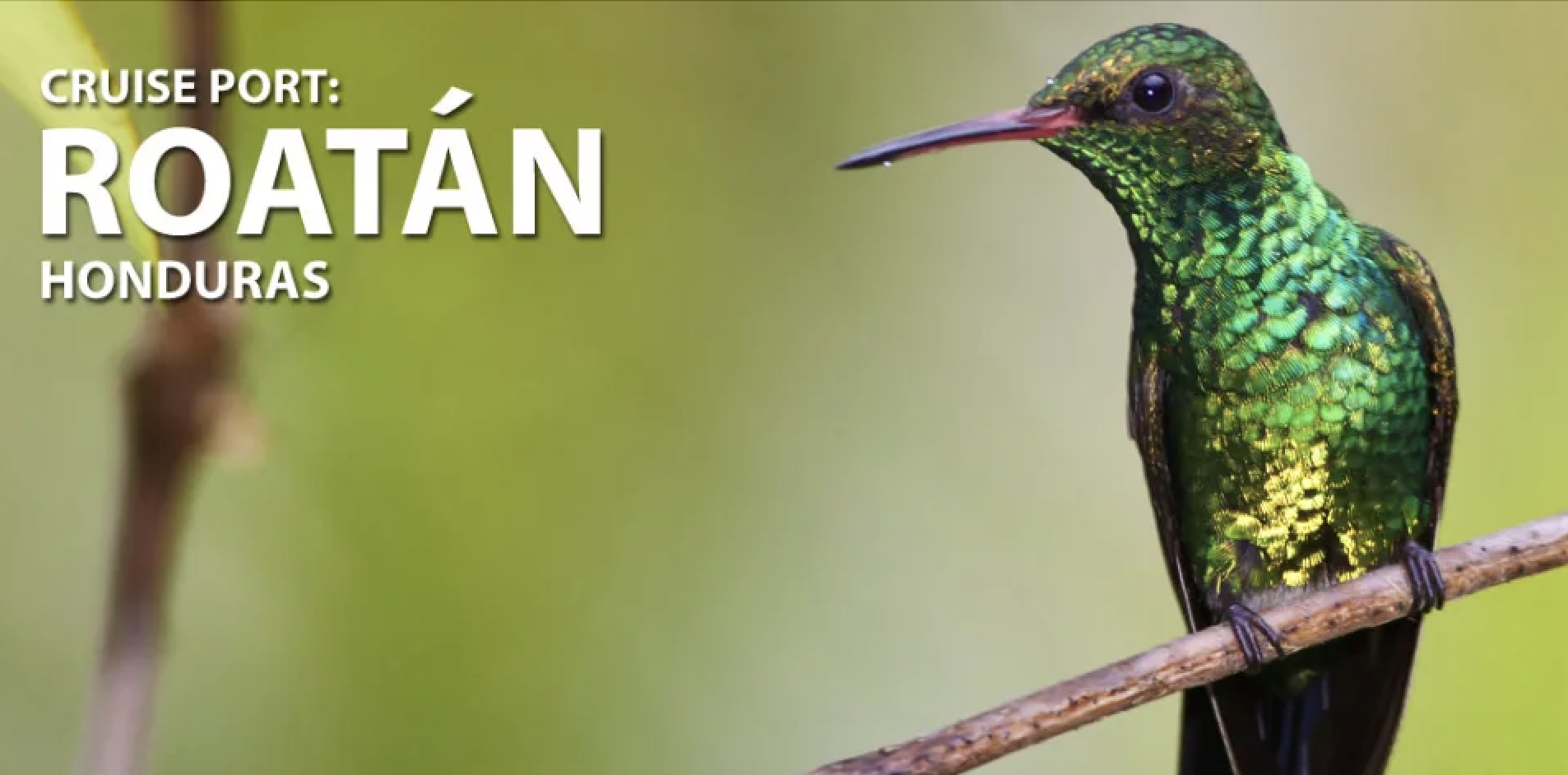 Screenshot 2025-10-27 at 5.36.04 PM.png