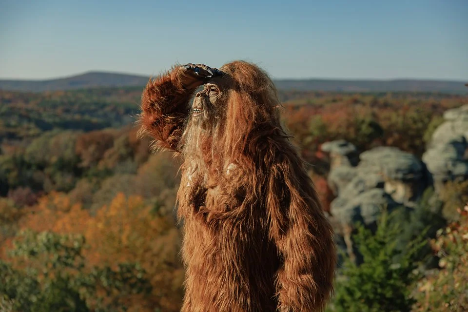 Sasquatch Hunter  Sponsorship