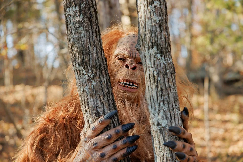 Sasquatch Fan Sponsorship