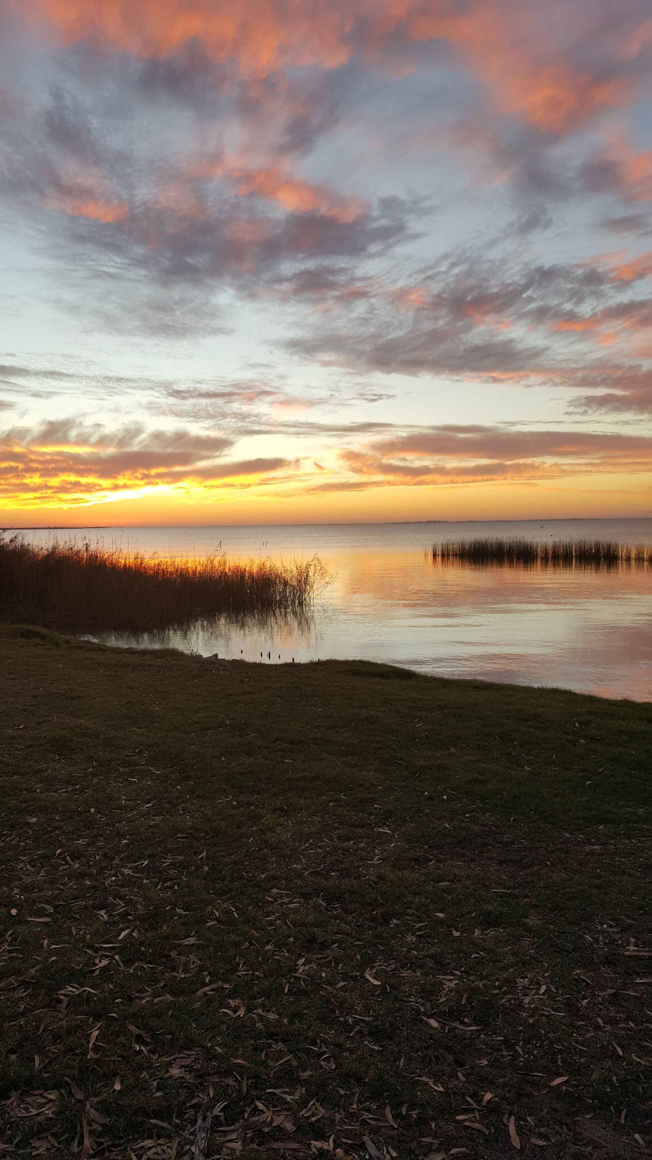 20160424_174230.jpg