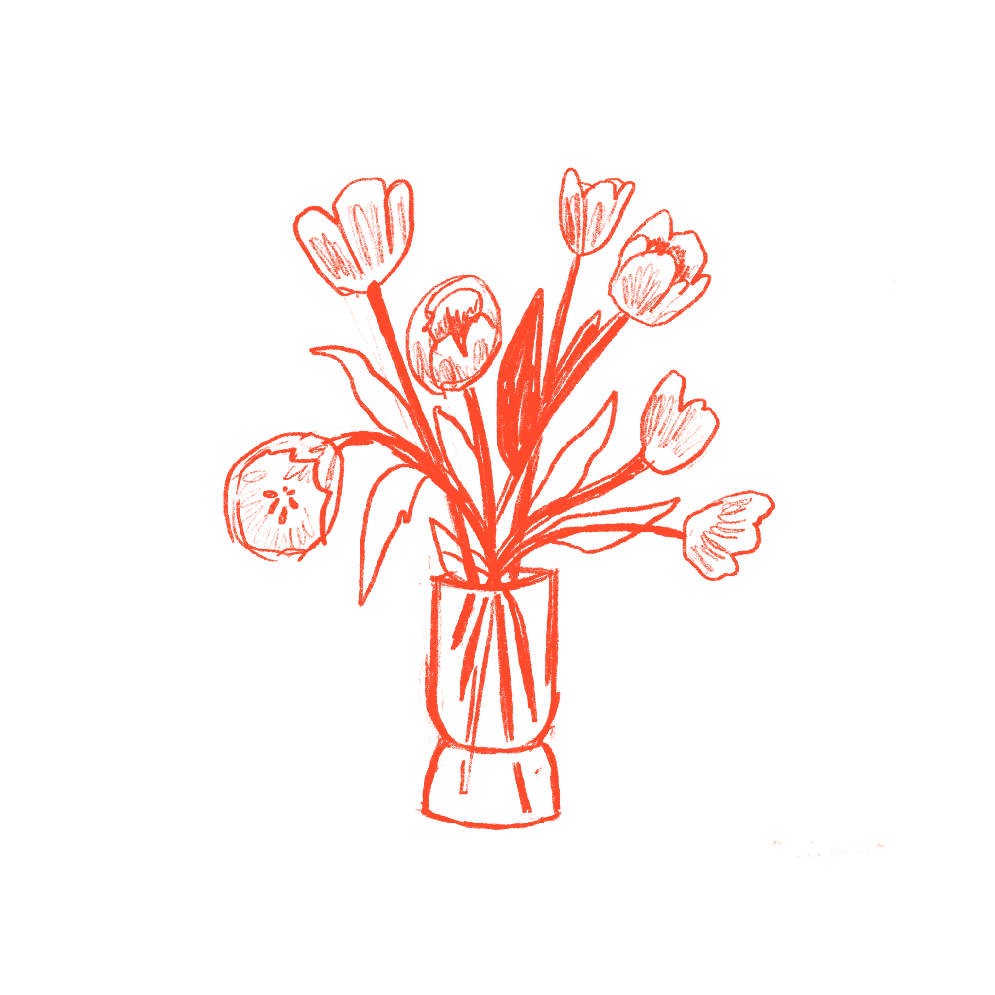 Tulips.png