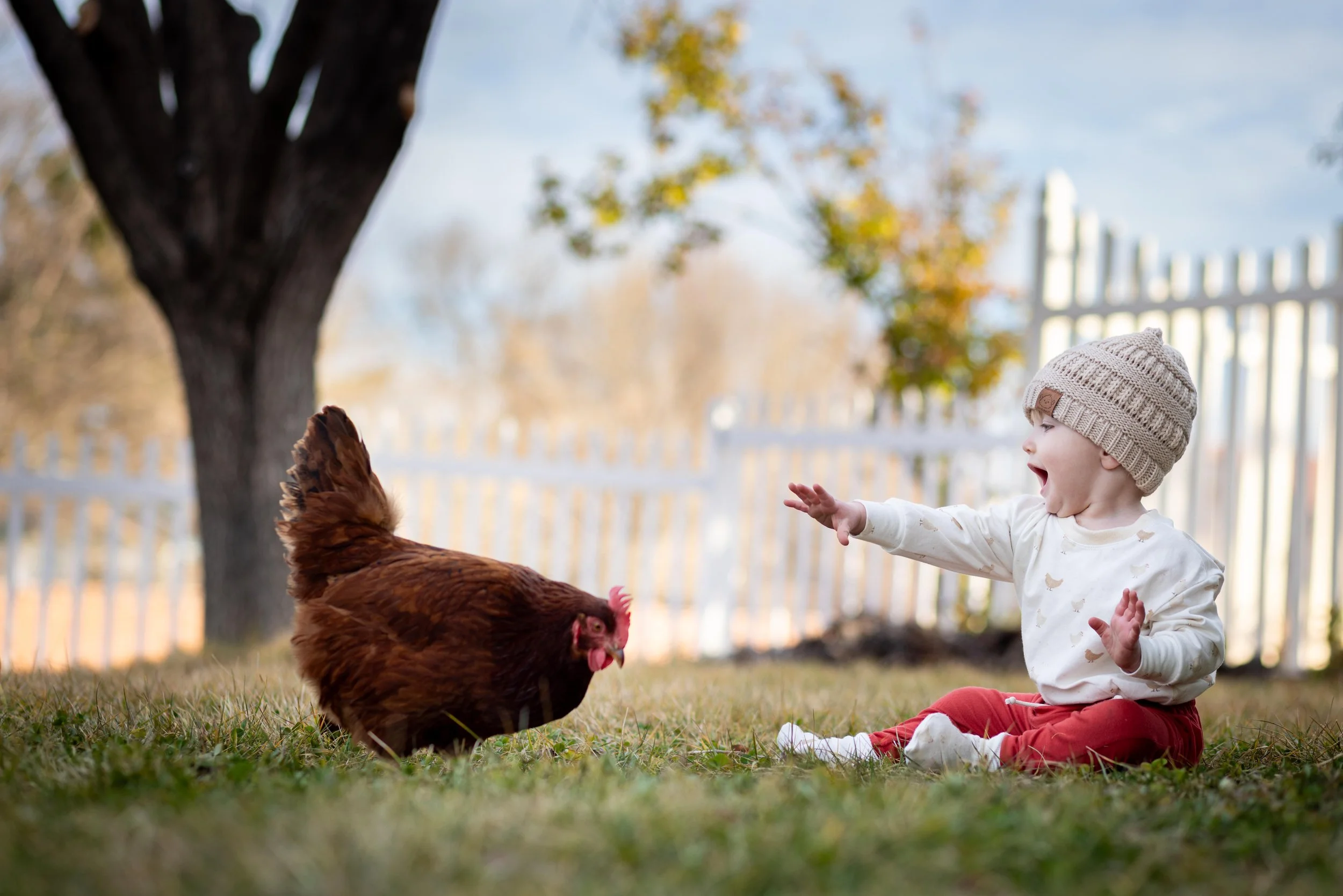 Spring Childrenβs Portraits with Chickens | St. George Product & Lifestyle Photography